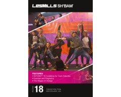 SH BAM 18 HD DVD + CD + waveform graph